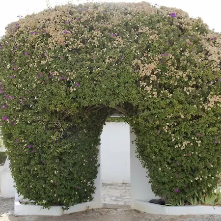 Edificio Primavera T1 Apartamento